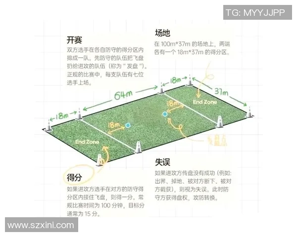 武汉飞盘队的反击战术揭秘与飞盘运动的深度解析
